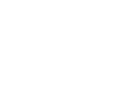 Your Canary Friend. Tours y paquetes vacacionales a Gran Canaria.
