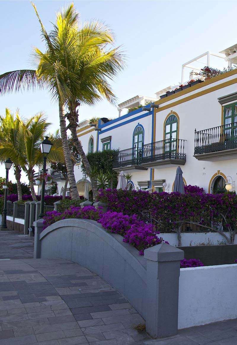 Mogan. Gran Canaria. Conócela con Your Canary Friend